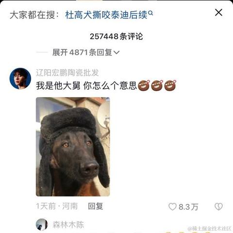 SpongeNoob于2023-01-13 15:05发布的图片