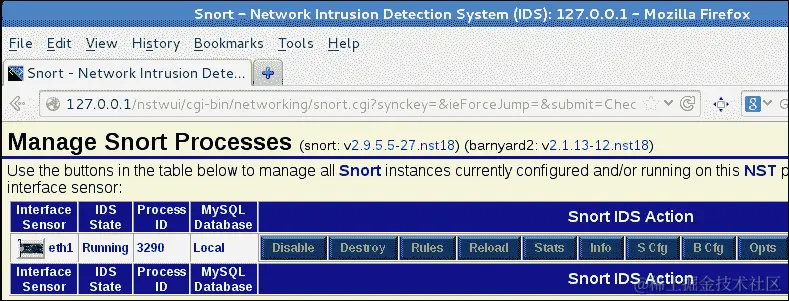 部署基于网络的 IDS