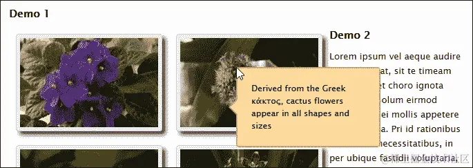 设计一个高级插件