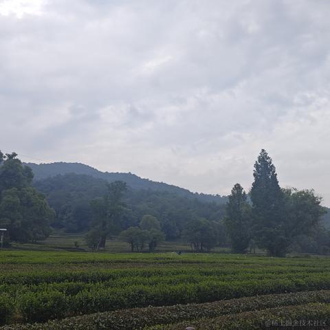 尼古拉斯阿柴于2023-05-27 10:53发布的图片