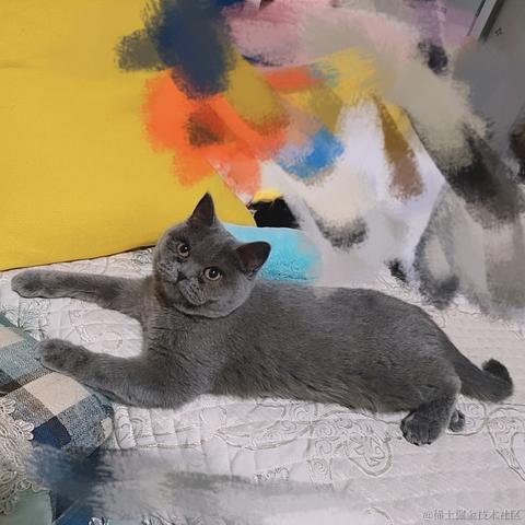 漾雾于2023-05-12 16:43发布的图片