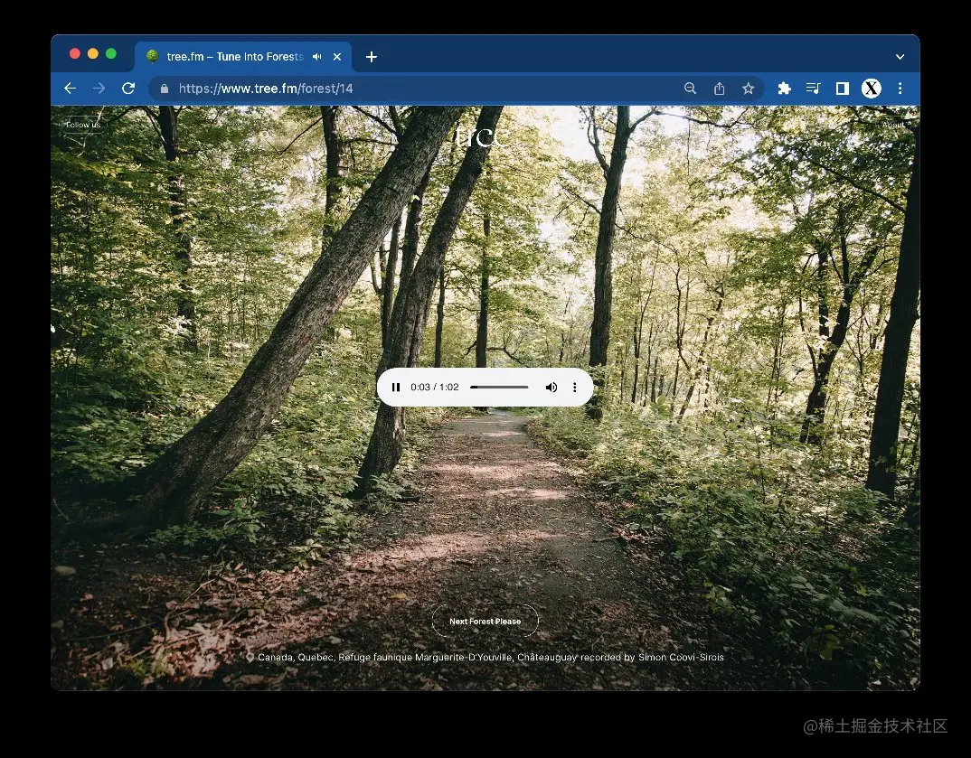 tree.fm – Tune Into Forests From Around The World 🌳🔈