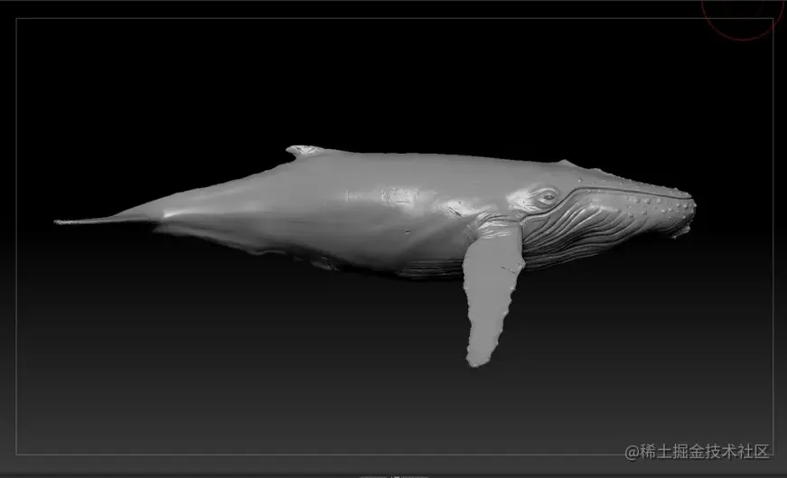 《Whale Rider》 - 瑞云渲染