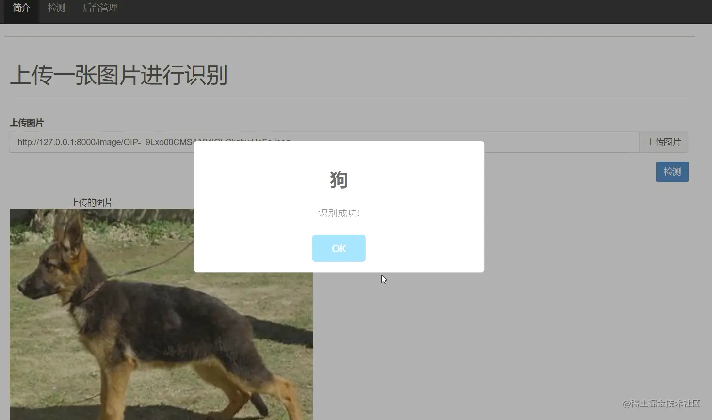 image-20220606214509268