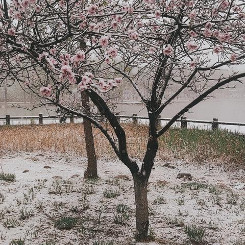 wumian233333于2023-03-28 11:07发布的图片