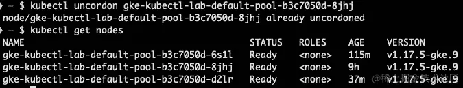 图 3.9 – 取消隔离节点