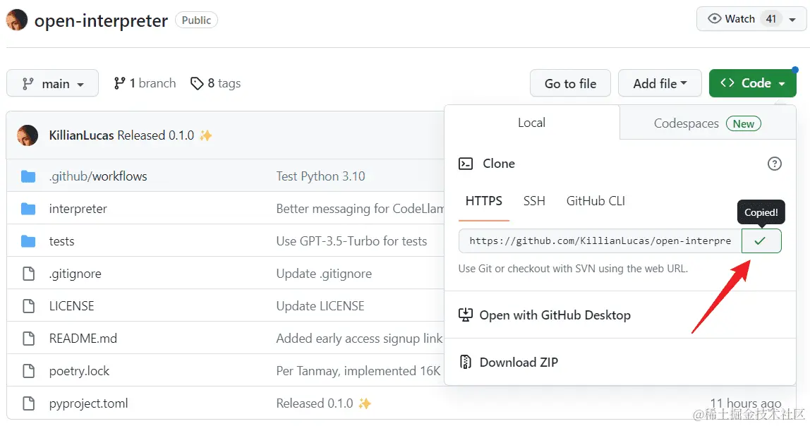 copy project url open interpreter
