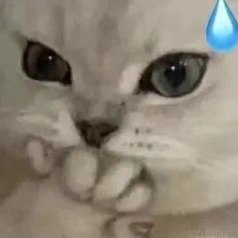 找不到我找不到我于2022-06-18 19:38发布的图片