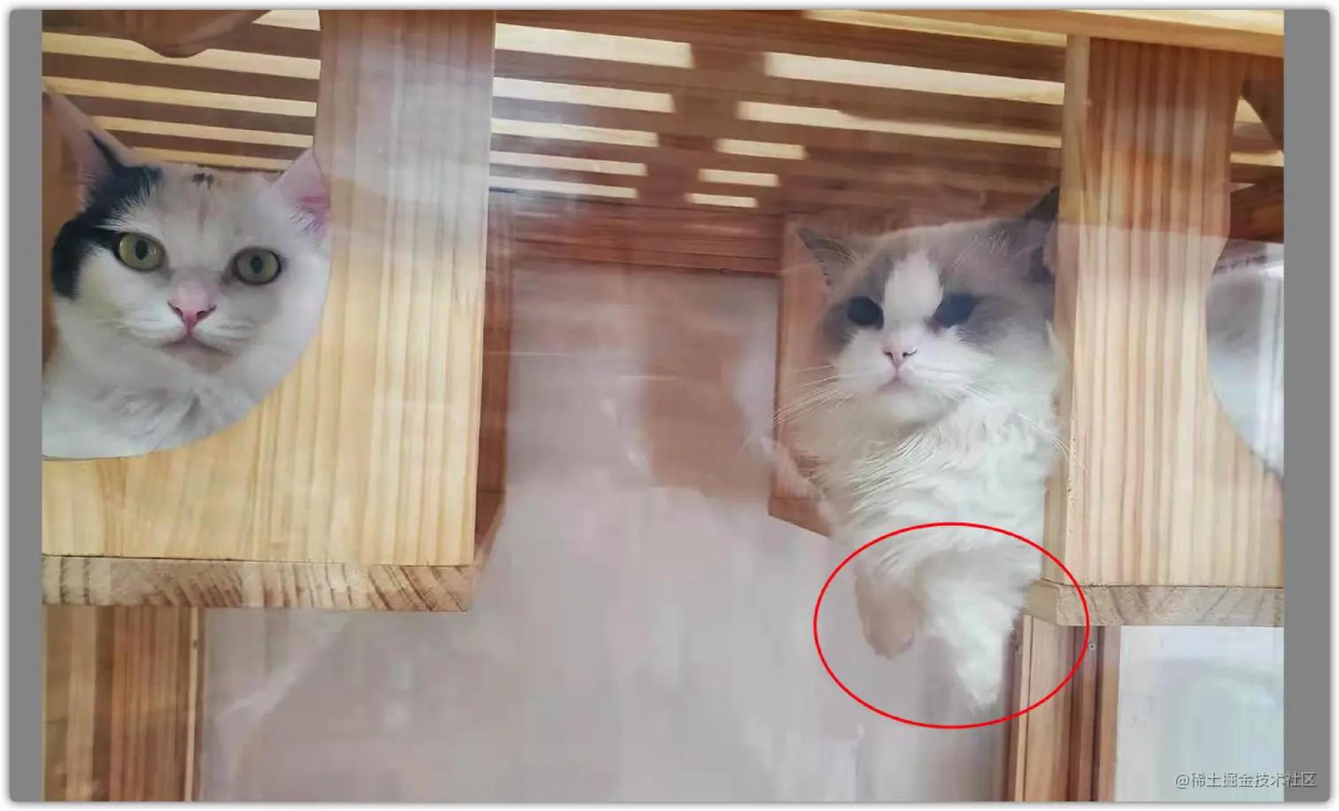 image-20210815172505061