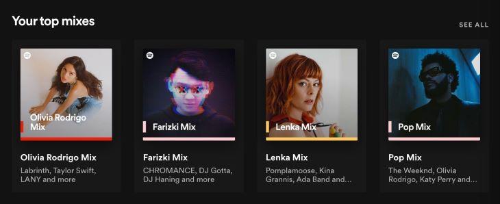 Spotify See All