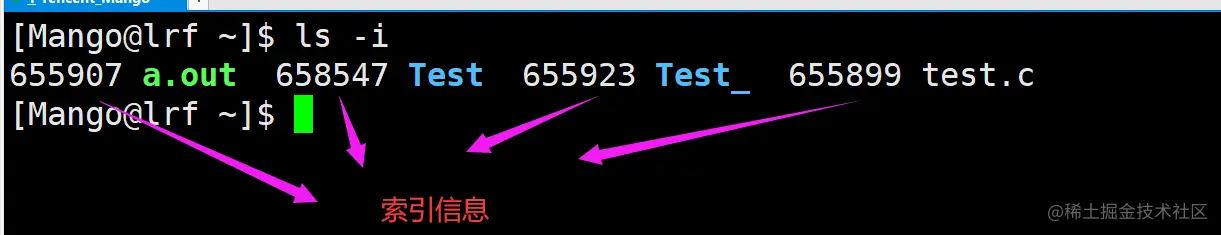 image-20220224203454178