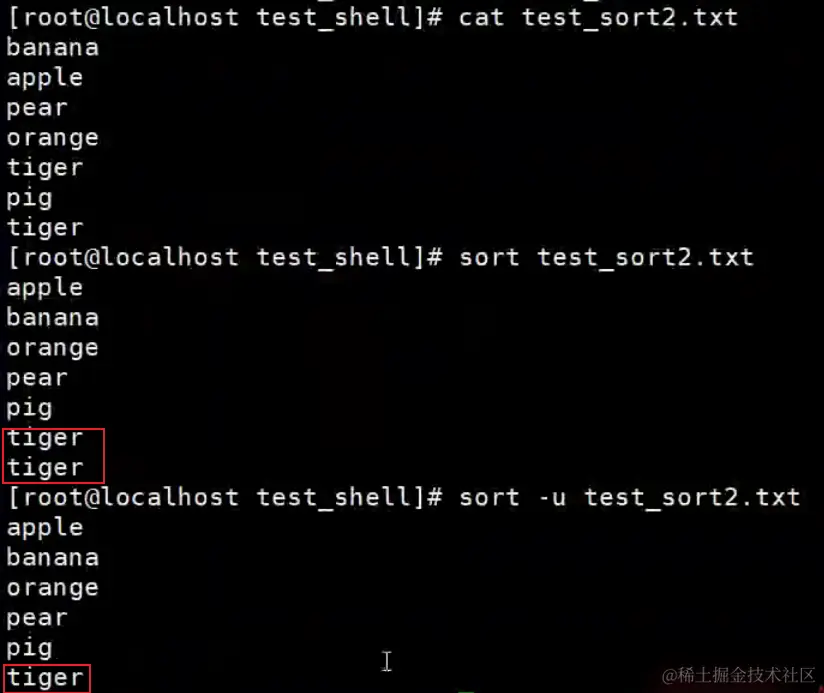 image-20240203143815597