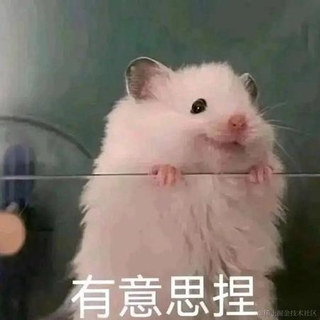 blizo于2022-11-29 00:13发布的图片