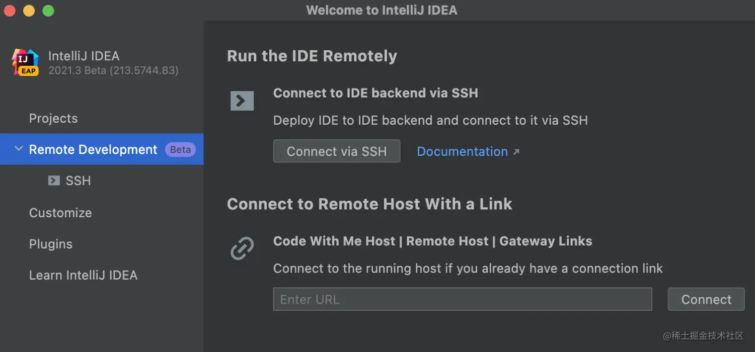 IntelliJIDEA2021.3候选版本发布远程