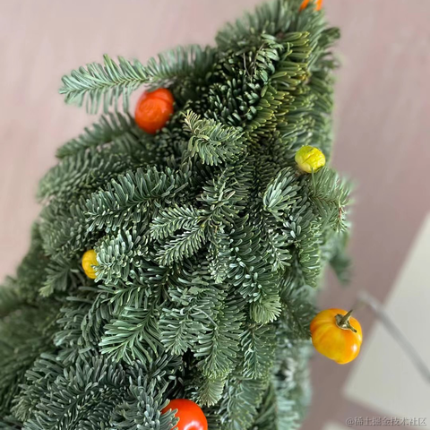 单翼圣天使于2022-12-24 18:31发布的图片