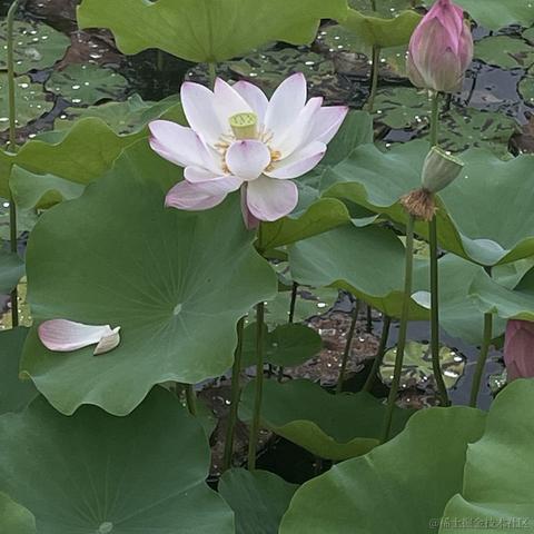 睡个好觉_于2023-06-19 12:34发布的图片