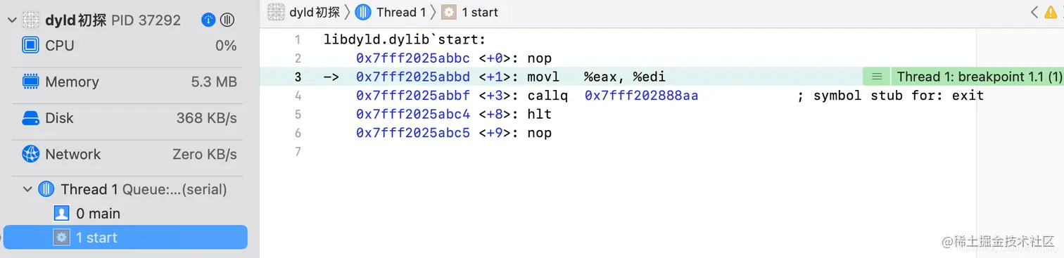 libdyld.dylib`start