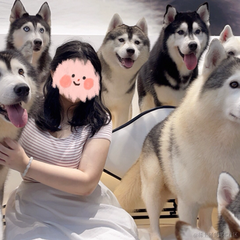 卡布1达咩于2021-09-10 13:56发布的图片