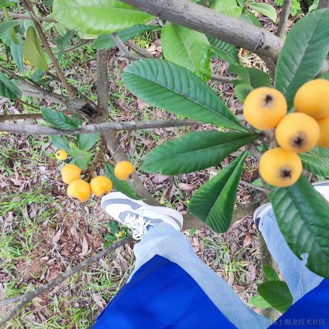 pdudo于2023-04-30 09:21发布的图片