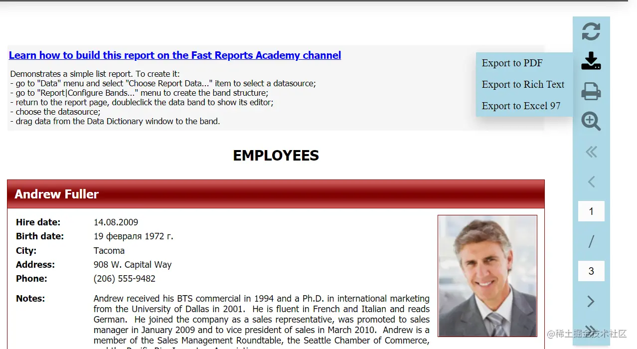 重大更新 | 报表开发工具FastReport .NET v2021.4发布！添加了新的Visual Studio 样式的图标