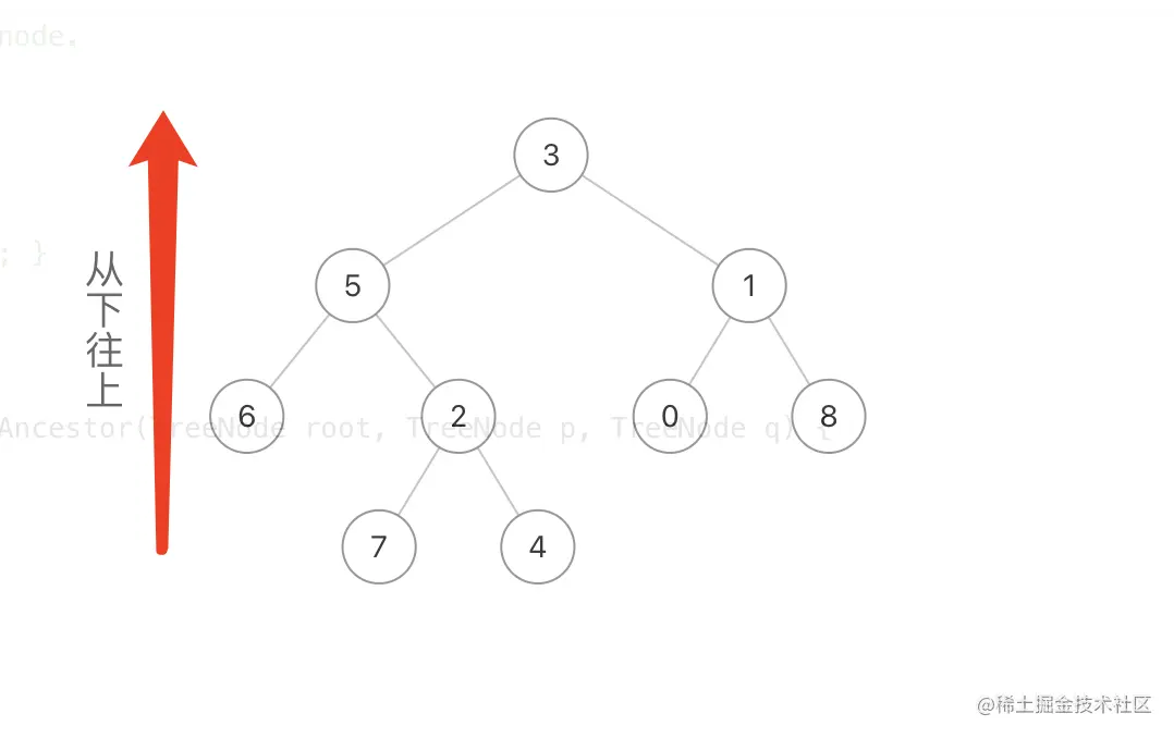 image-20210221183006795