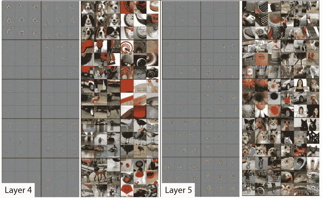 CNN 末端层的激活