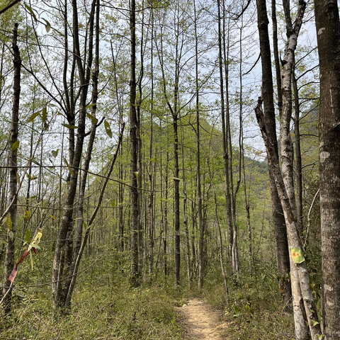 芥末拌饭于2023-03-13 19:26发布的图片