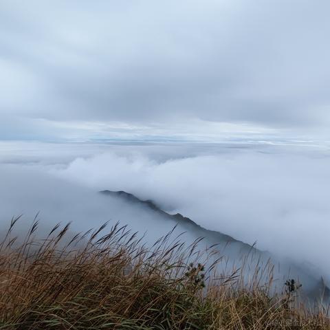 脆弱杨桃干于2022-11-09 10:30发布的图片