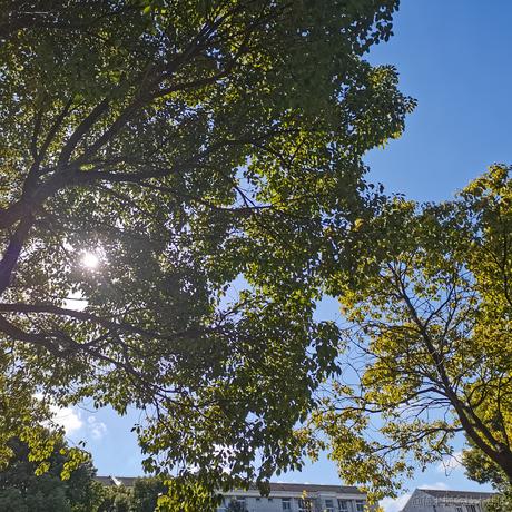 鸳鸯火锅鱼于2022-12-06 11:16发布的图片