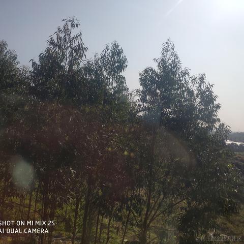 河罗于2023-01-19 18:17发布的图片