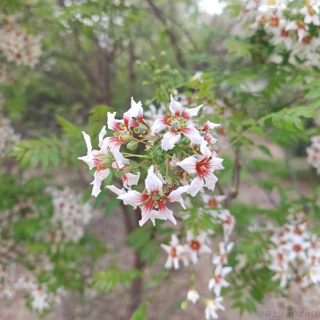 矮人三等于2023-05-19 08:27发布的图片