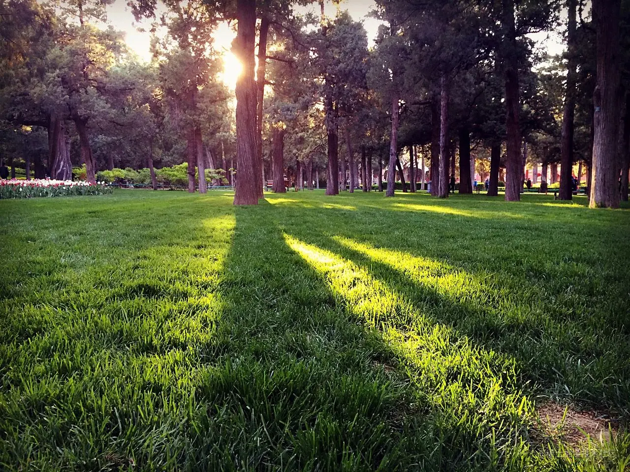 image-20230313215003321