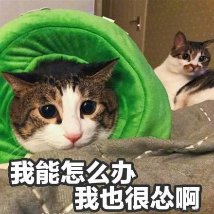 小三_于2020-08-07 15:53发布的图片