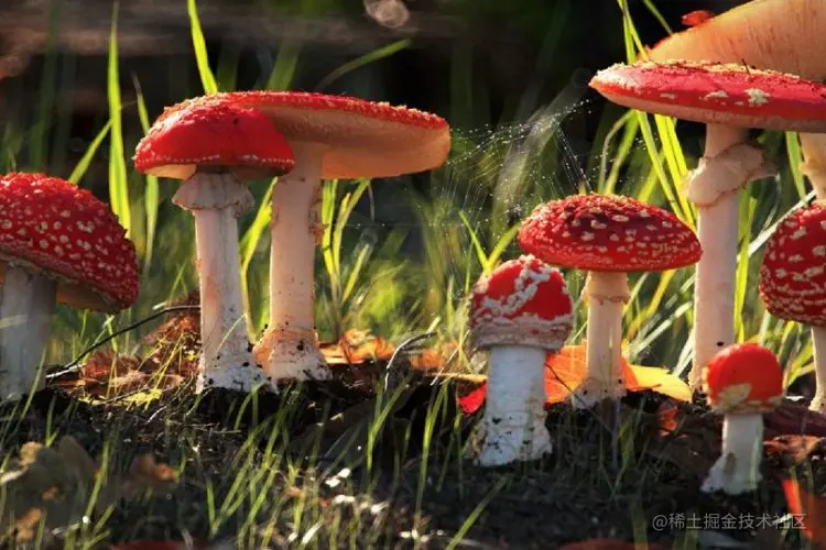 了解Redshift中的烘焙 - Renderbus瑞云渲染