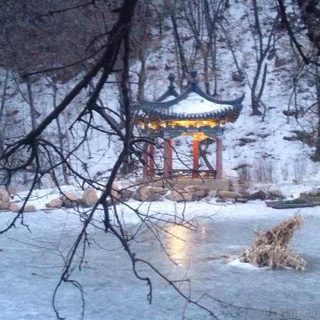 缟衣綦巾于2022-12-05 22:34发布的图片