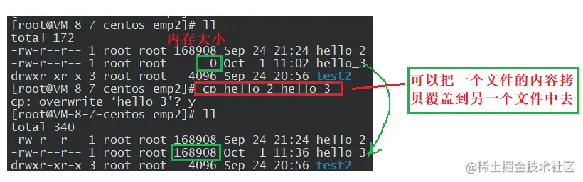 image-20221001113859266