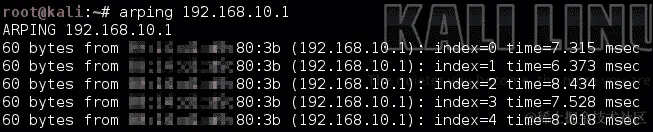 使用 Arping 进行主机发现