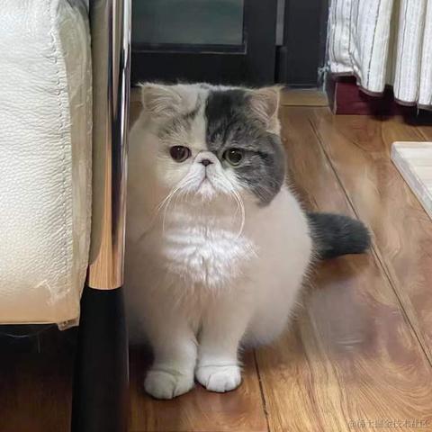 BooBoo于2021-12-27 09:38发布的图片