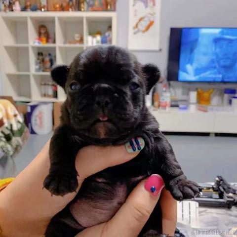 BooBoo于2021-12-26 16:45发布的图片