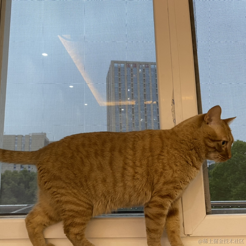 avavaava于2022-11-29 08:41发布的图片