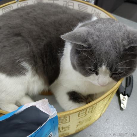 Roach于2022-12-06 00:11发布的图片