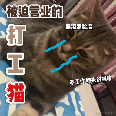 白又白i于2021-08-23 13:30发布的图片