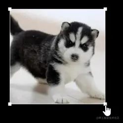 image-20210927165520938