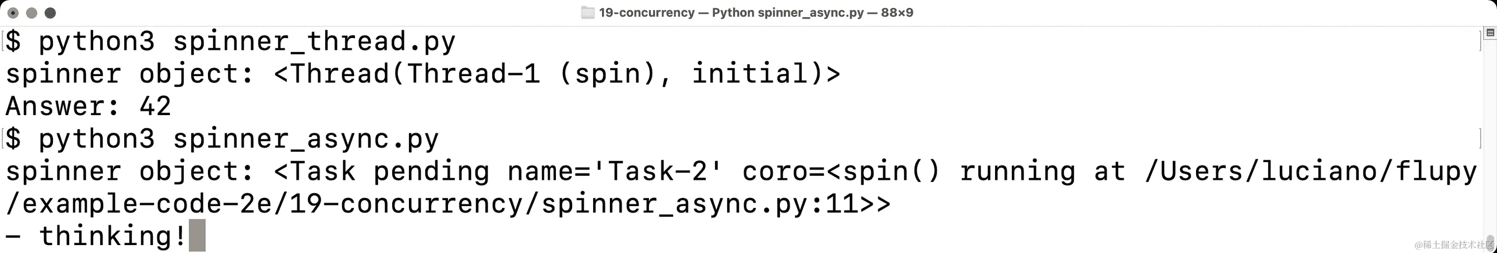 Shell 控制台显示两个旋转器示例的输出。