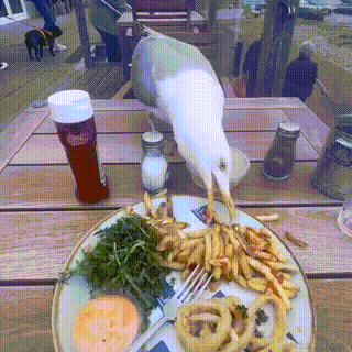 東山塚于2022-11-13 06:40发布的图片