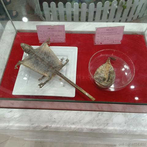 千岁归鹤于2022-11-26 15:06发布的图片