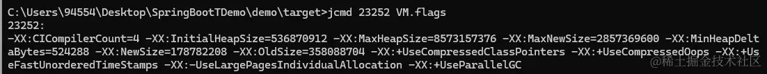 jcmd_vm_flags.png