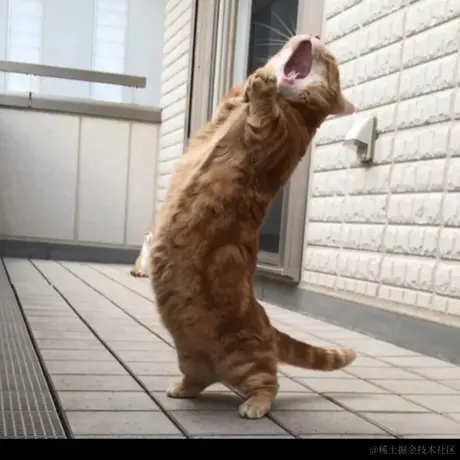 娘口三三于2023-08-11 13:27发布的图片