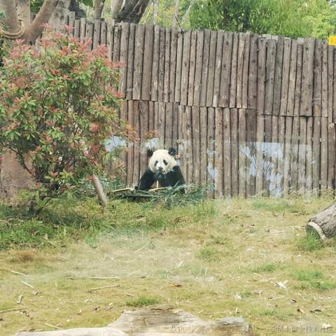 优秀稳妥的JiaJi于2023-04-03 08:52发布的图片