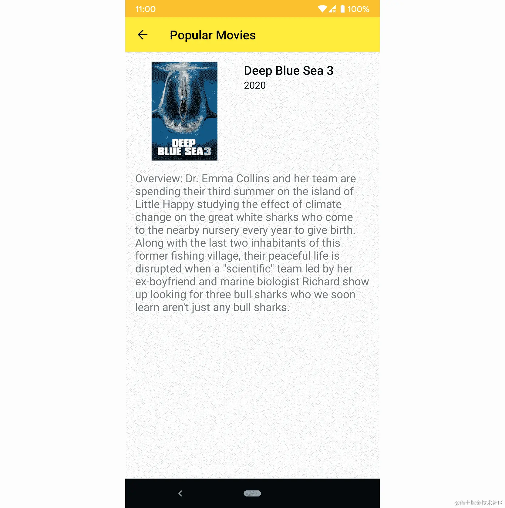 图 13.2：电影详情屏幕